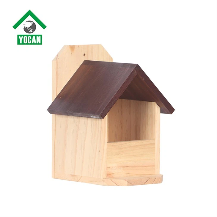 Squirrel Feeder For Outside